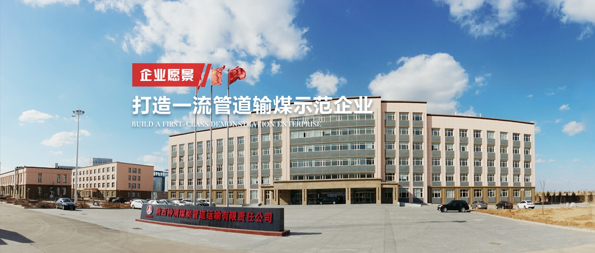 陕西神渭煤炭管道运输有限责任公司项目